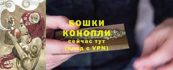 твердый Елизово