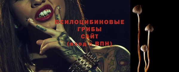 твердый Елизово