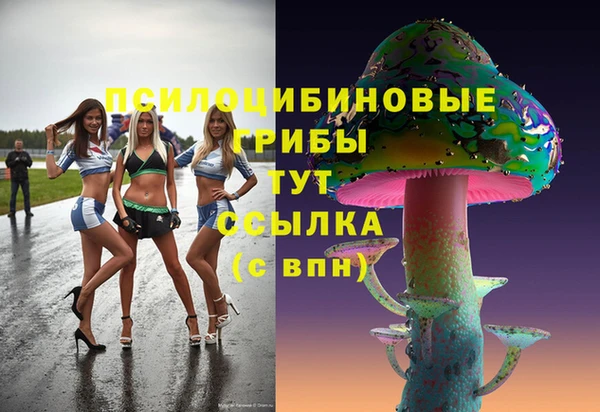 твердый Елизово