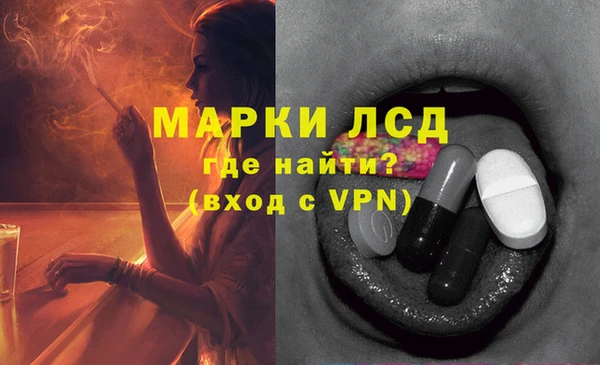 шишки Елабуга