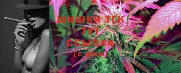 шишки Елабуга