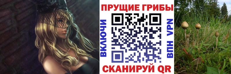 Галлюциногенные грибы MAGIC MUSHROOMS  Купить где  Новоаннинский 